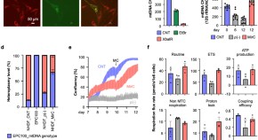 recent research topics in cell biology