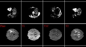 research articles neuroscience