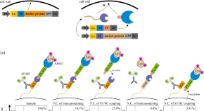 recent research topics in cell biology