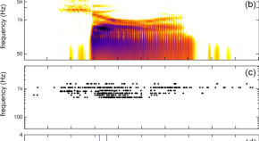 research articles neuroscience