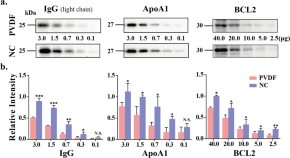 recent research topics in cell biology