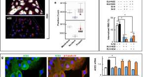 recent research topics in cell biology