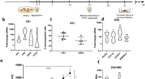 recent research topics in cell biology