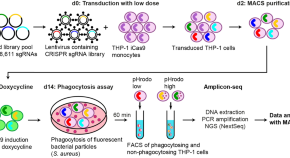 recent research topics in cell biology