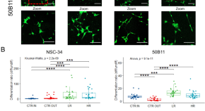 research articles neuroscience