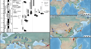 ecological research study