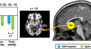 research topics for neurology