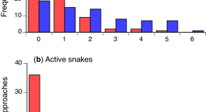 essay topics ecology