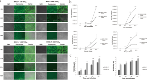 cloning research paper