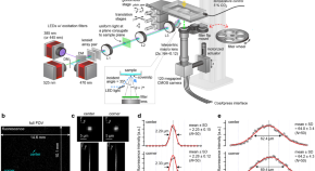 physics phd research topics