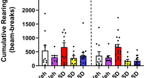 research articles neuroscience