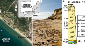 idea paper ecological research