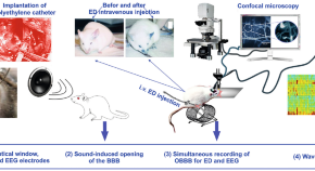 research articles neuroscience