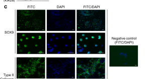 recent research topics in cell biology