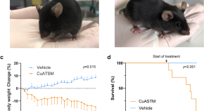 research articles neuroscience