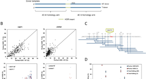 recent research topics in cell biology