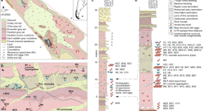 idea paper ecological research