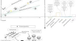 essay topics ecology