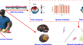 recent research papers on neuroscience