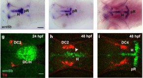 best neuroscience research papers