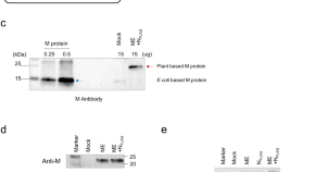 research paper for microbiology