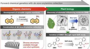 most interesting chemistry research topics