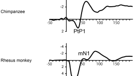 latest research topics in neuroscience