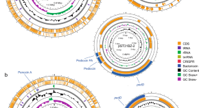 thesis research topics in microbiology