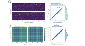 research science institute papers