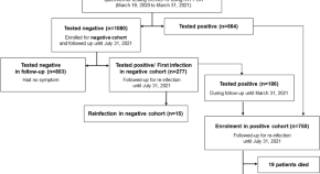 research science institute papers