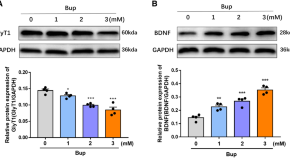 recent research papers on neuroscience