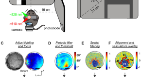 best neuroscience research papers