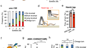 recent research papers on neuroscience