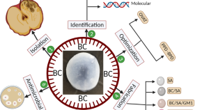 dissertation topics of microbiology