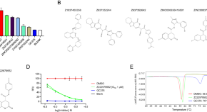 most interesting chemistry research topics