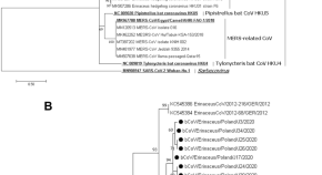 list microbiology dissertation topics project