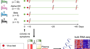 medical microbiology dissertation