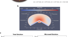 recent research papers on neuroscience