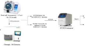 medical microbiology dissertation