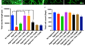 best neuroscience research papers