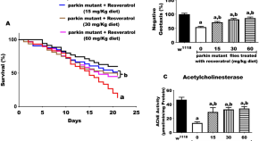 recent research papers on neuroscience