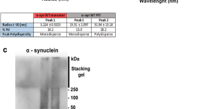 recent research papers on neuroscience