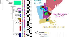 thesis research topics in microbiology