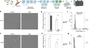 medical microbiology dissertation