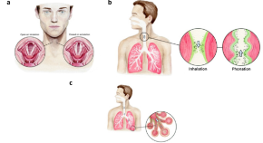 research science institute papers