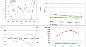 term paper topics for sustainability