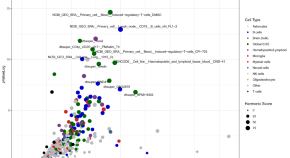 research science institute papers