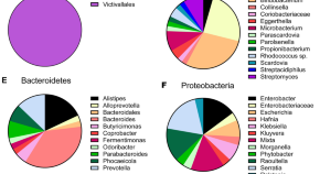 list microbiology dissertation topics project