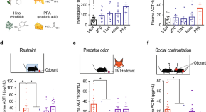 recent research papers on neuroscience