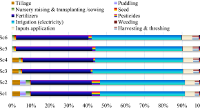 term paper topics for sustainability